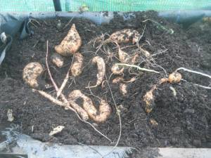 1374792_10200106835152939_1070664432_n