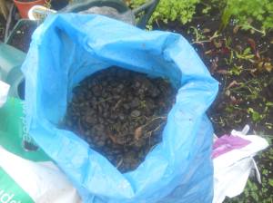 1487755_10200192370451268_609709463_o