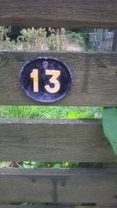 10636517_10203589076181859_8848274522296047512_o