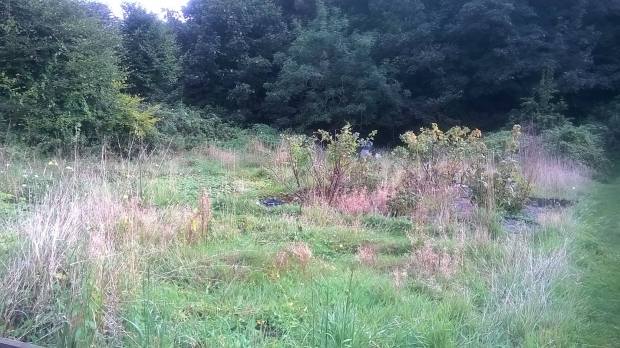 10694199_10203589071141733_1560615750864259830_o