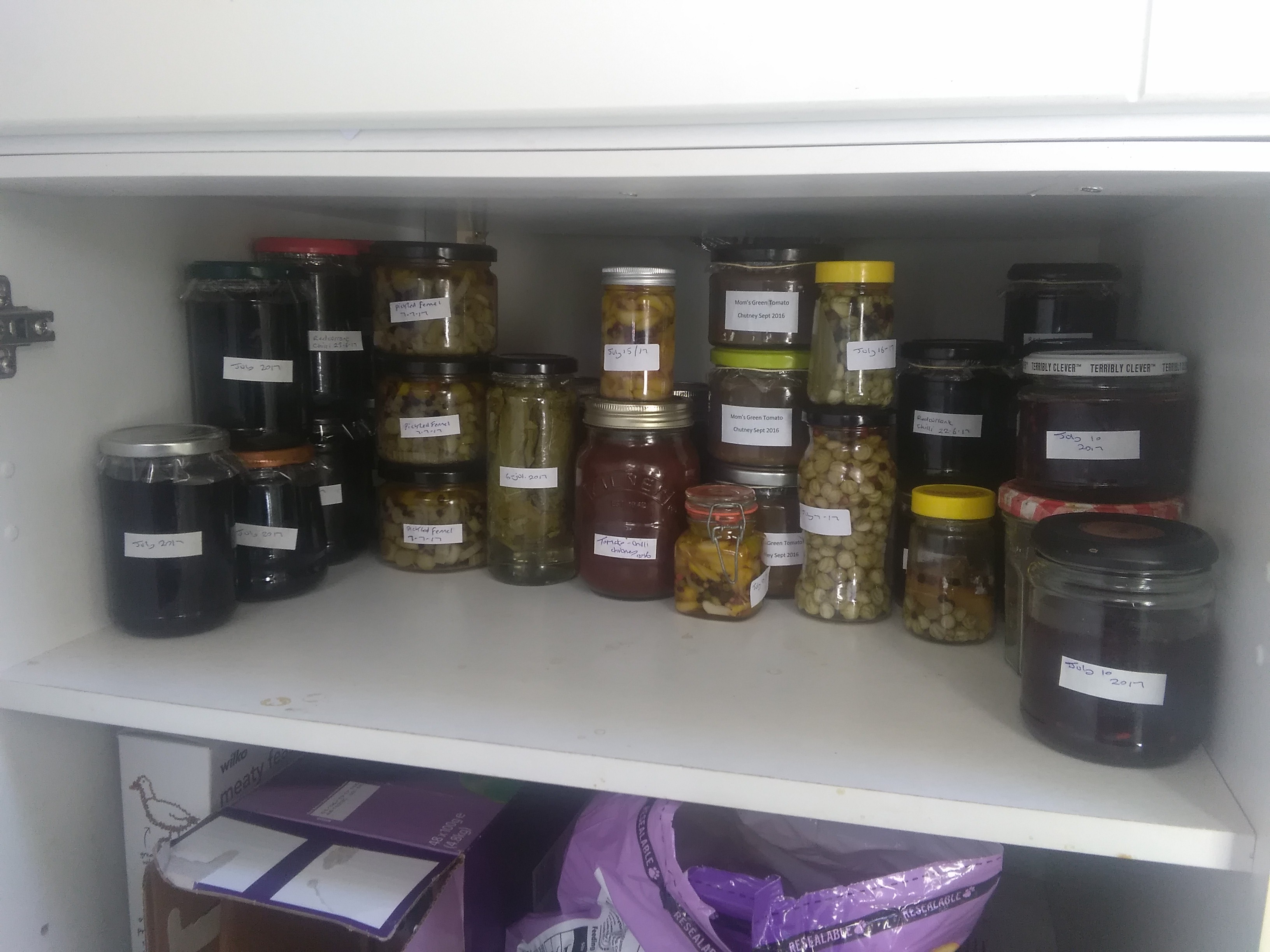 IMG_20170717_130359[1]