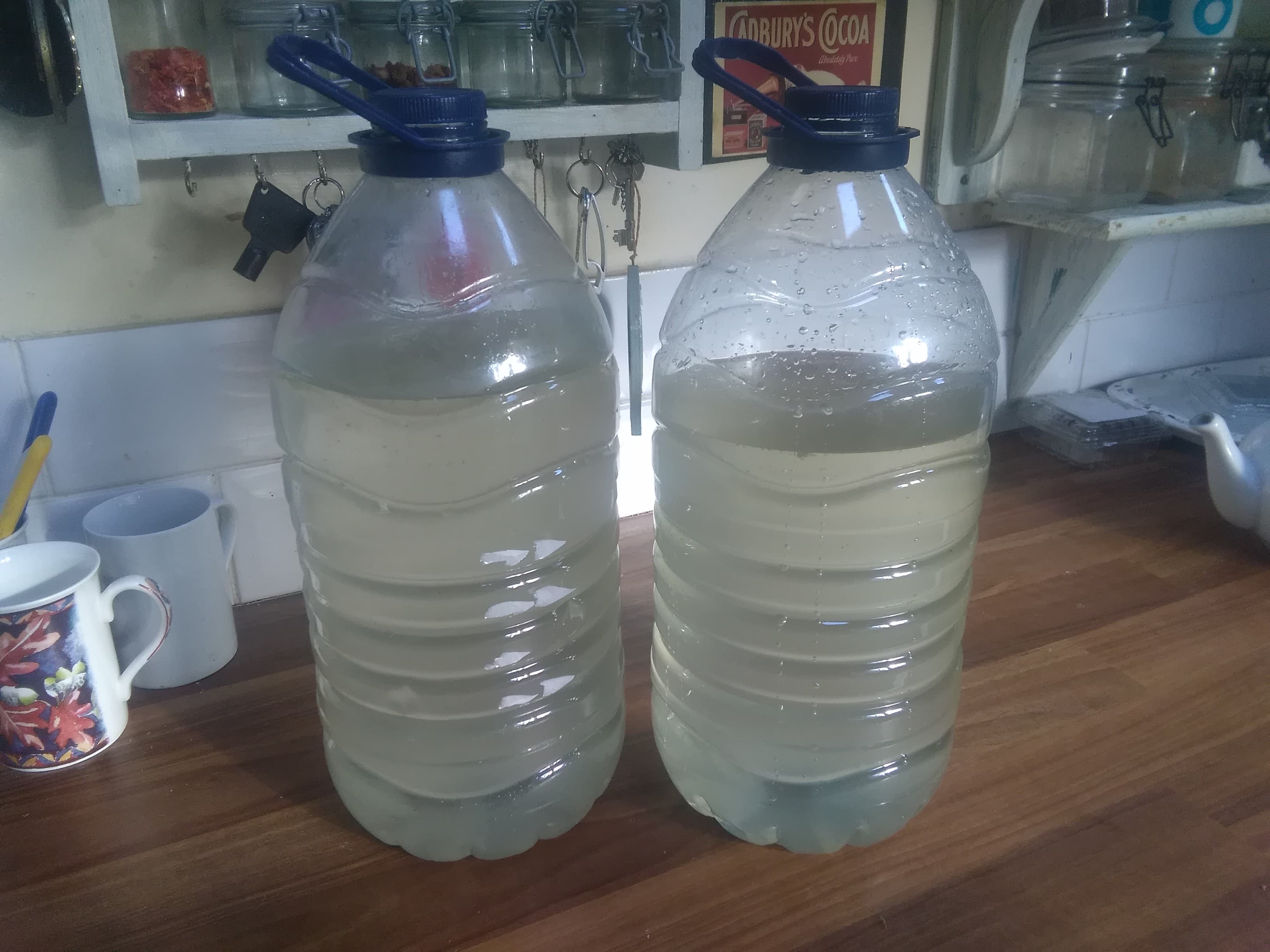 44047486_2301656010062604_2804885824955482112_n