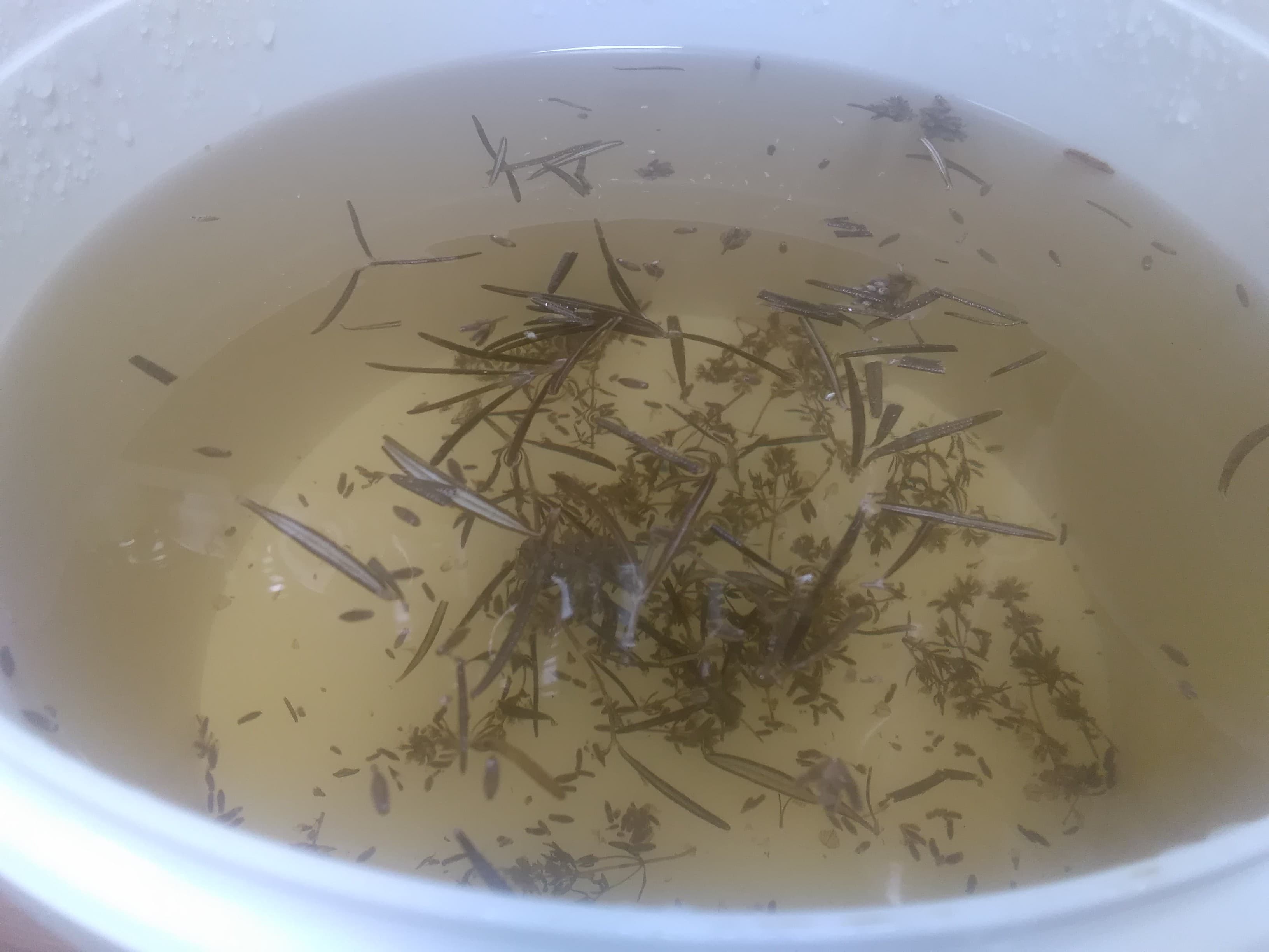 44117037_111928833042398_223342577179426816_n