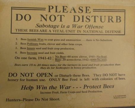 12189531_925628147491682_1327214555852960287_n