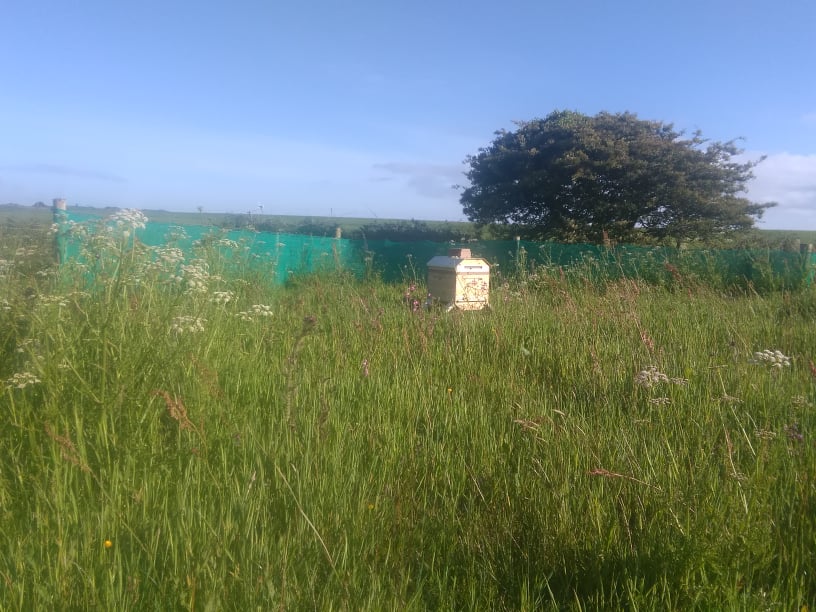 65309389_326377434963280_3168580846672150528_n